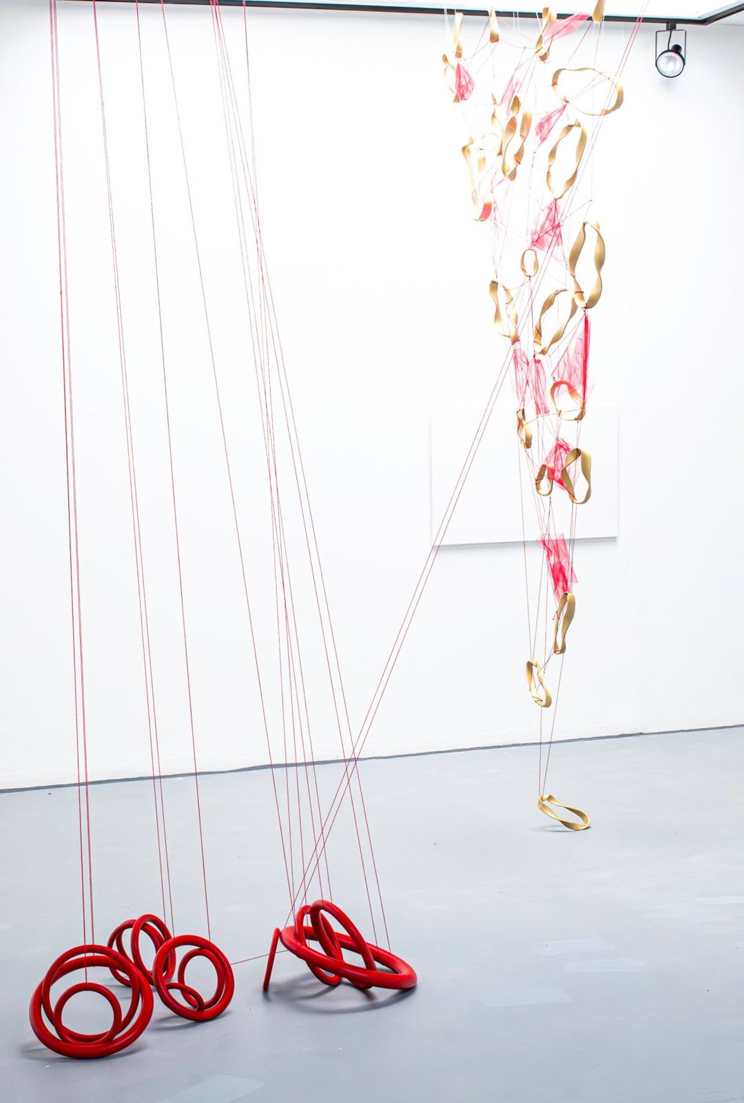 Gallery view of hanging gold rings with red knots on the floor