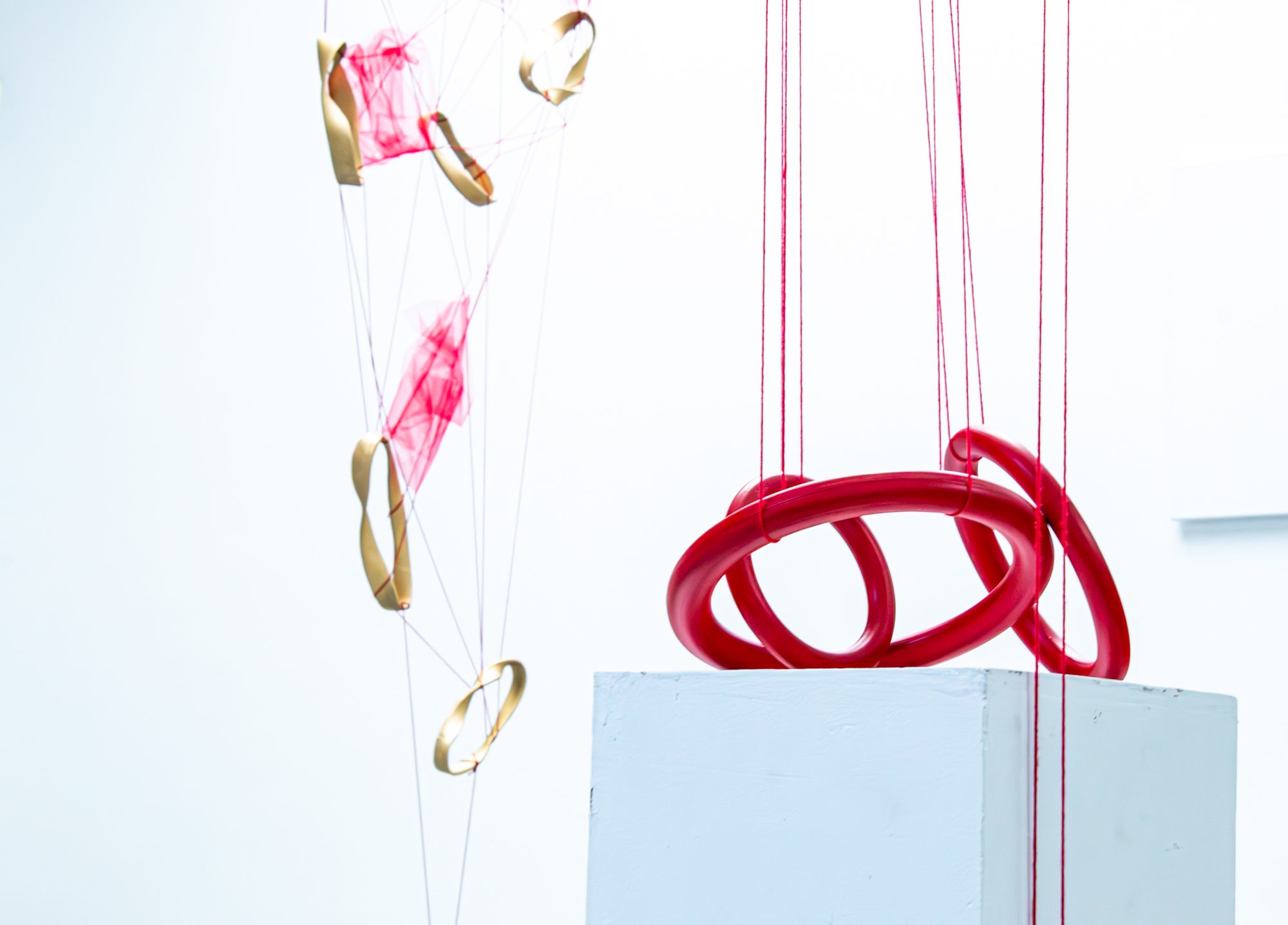 Gold rings and pink tulle hanging beside a red ring knot on a white plinth